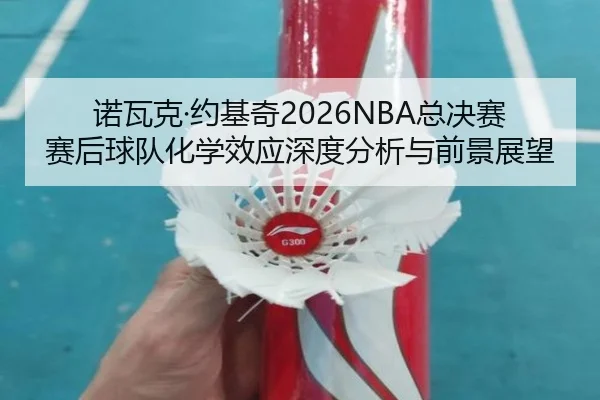 诺瓦克·约基奇2026NBA总决赛赛后球队化学效应深度分析与前景展望