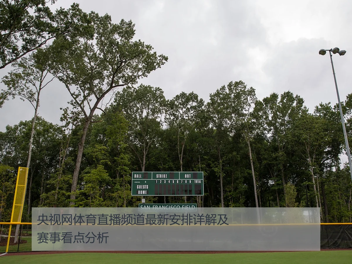 央视网体育直播频道最新安排详解及赛事看点分析